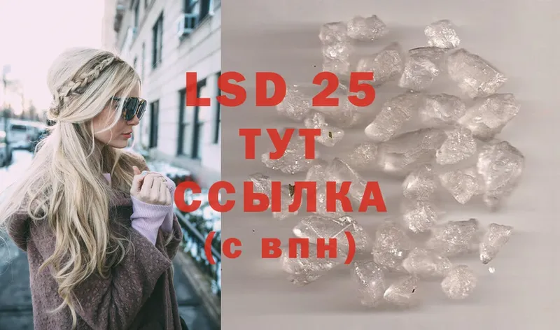 как найти наркотики  Наволоки  ЛСД экстази ecstasy 